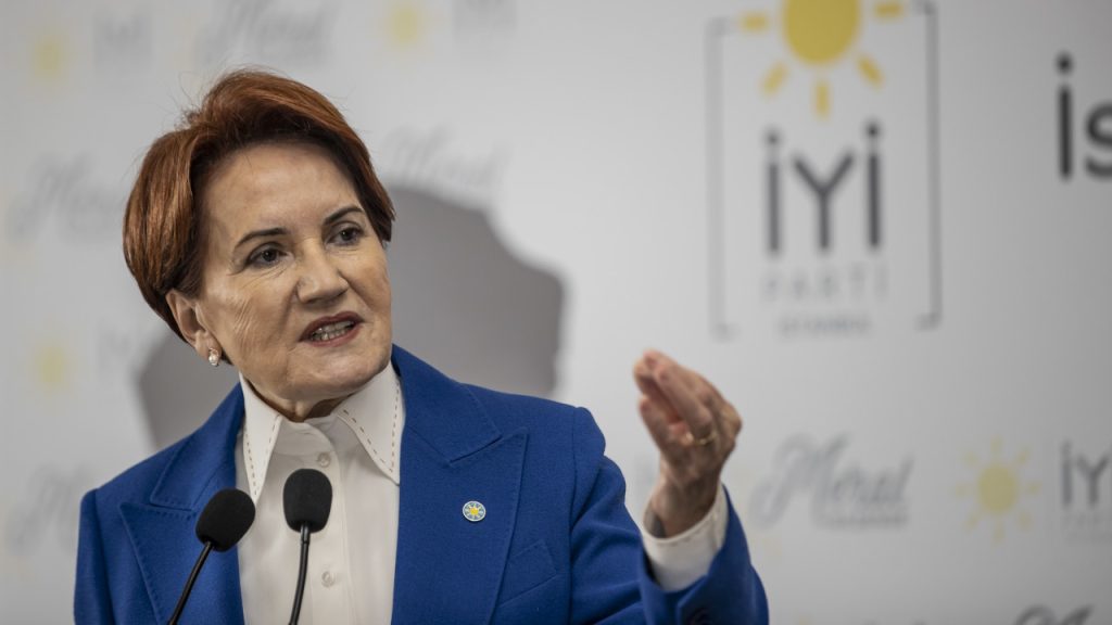 Akşener: Aynen Sayın Erdoğan, netice gerçekten ortada