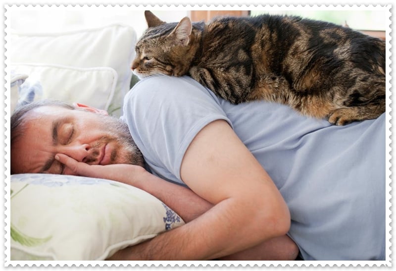Kedinizin Sizinle Yatağınızda Uyumasına İzin Vermeli Misiniz?
