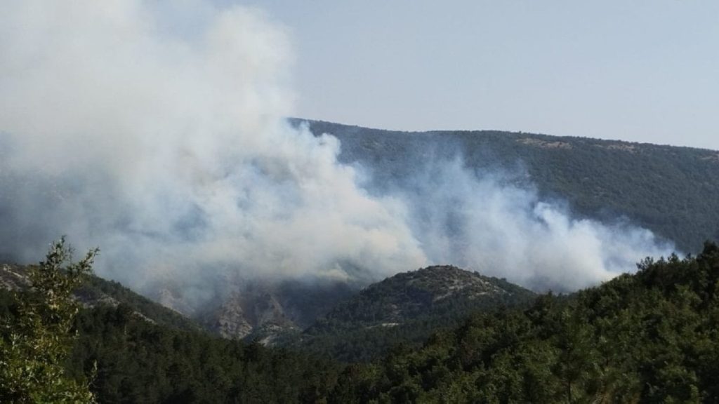 Bilecik’te orman yangını