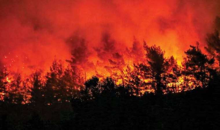 Orman yangınları kalp krizini tetikliyor!
