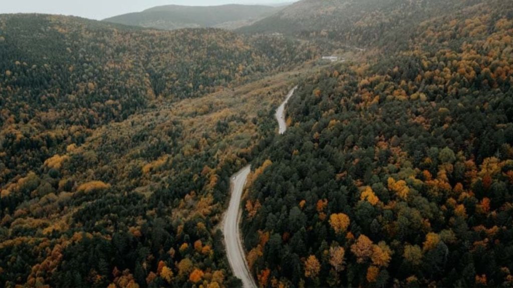Karabük ormanları sonbaharın ahenkli renklerini yansıtıyor