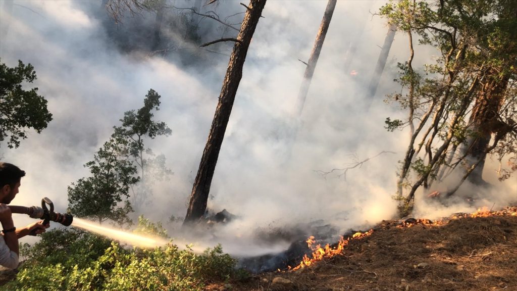 Köyceğiz’de Çıkan Orman Yangını Kontrol Altına Alındı