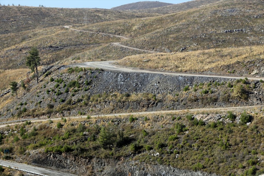 Muğla’da 2 yıl önce yanan ormanlar yeniden yeşeriyor