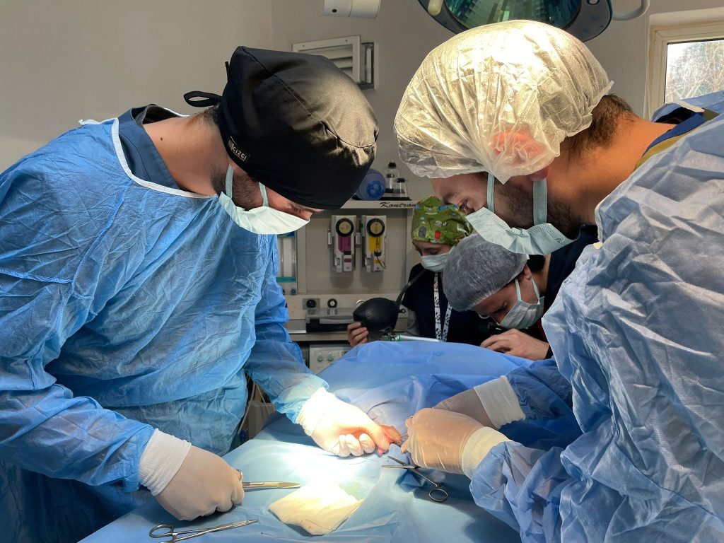 Milas Veteriner Fakültesi Eğitim ve Uygulama Hastanesi Randevulu Hasta Kabulüne Başladı