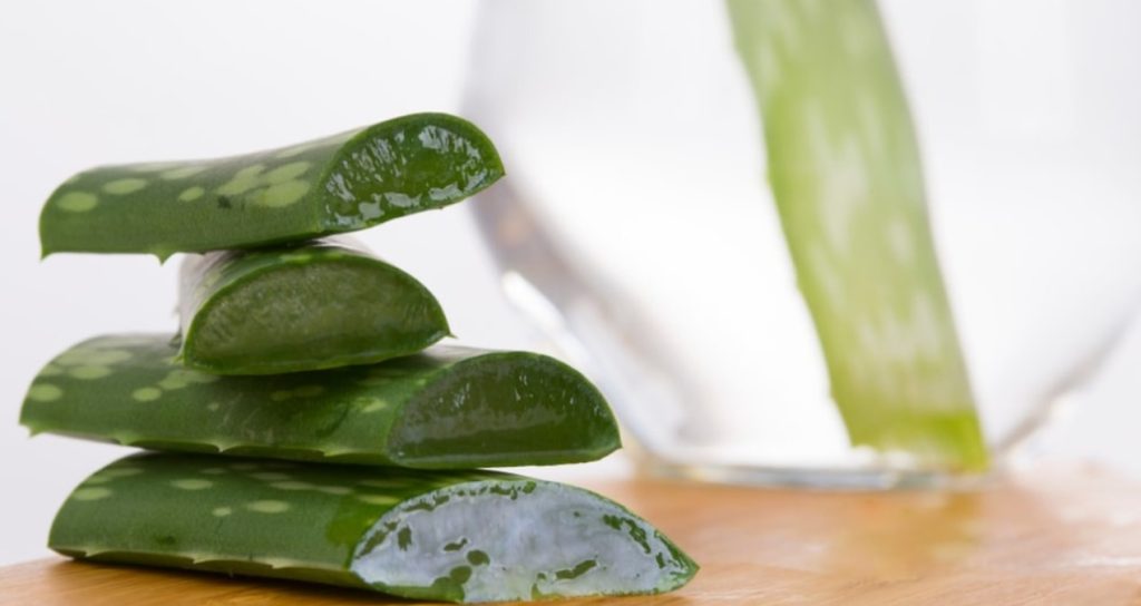 Aloe vera nedir? Aloe vera faydaları nelerdir?