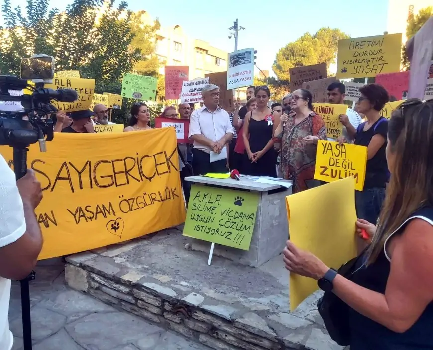 Muğla’da Sokak Hayvanları Yasa Tasarısına Tepki