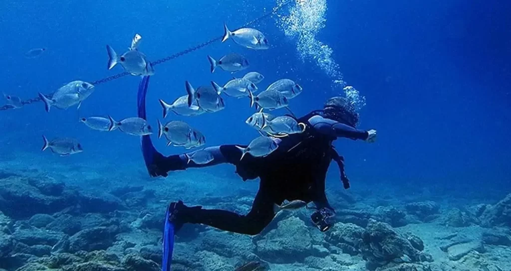 Türkiye’nin su altı cenneti: Bodrum