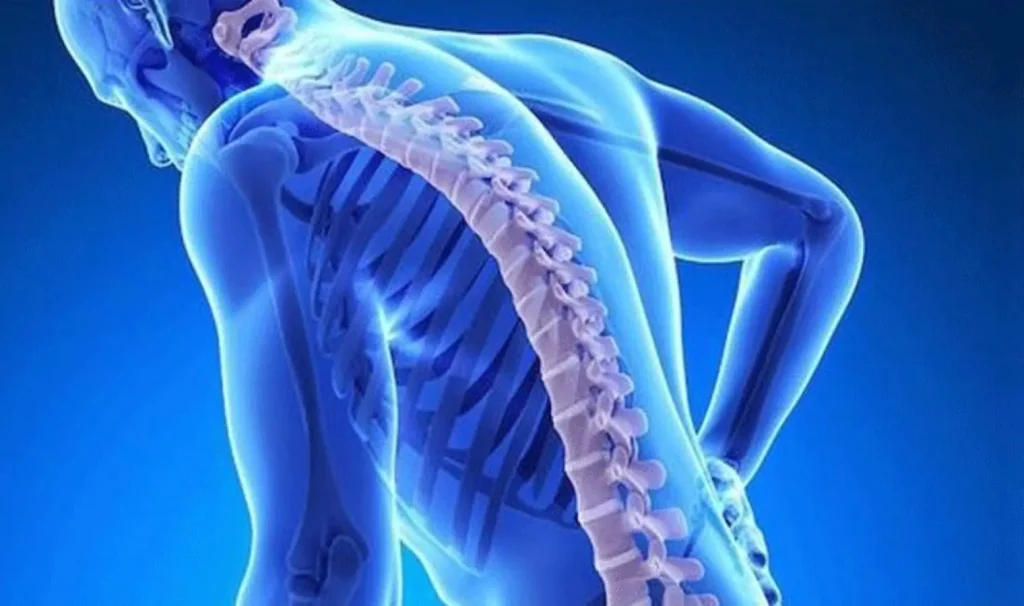 Dünya Osteoporoz Günü’nde uzmanlardan uyarı: 50 yaş üstü kadınlar dikkat!