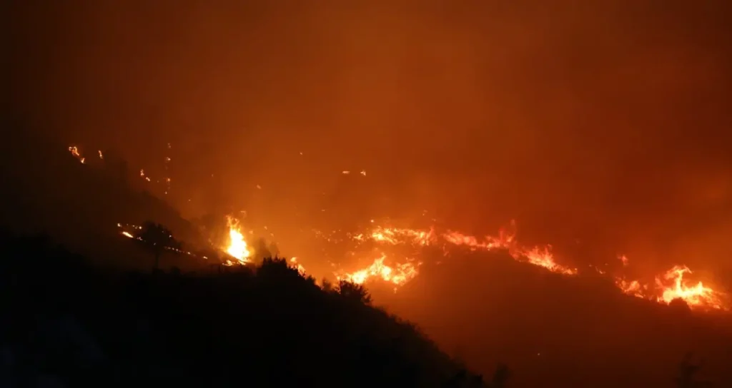 Muğla’nın iki bölgesinde orman yangını